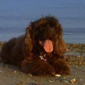 Meet your Posher, Leslie